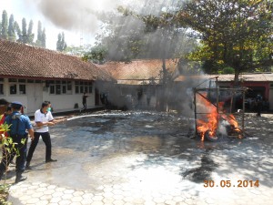 DSCN8998