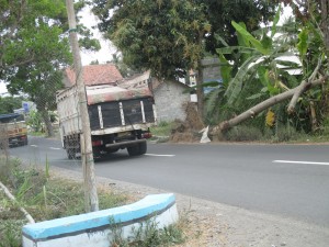 IMG_7253