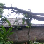 Foto0006