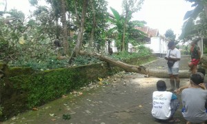 IMG-20160813-WA0021