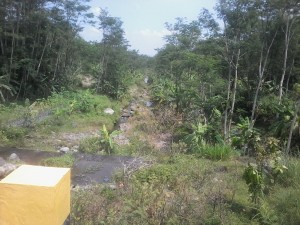 20160905_125053[1]