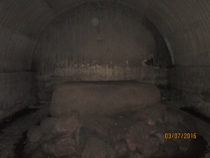 IMG_1238