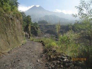 IMG_1256