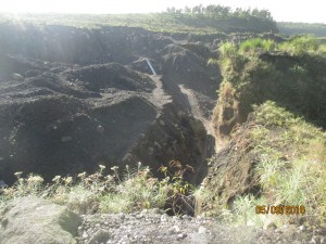 IMG_1933