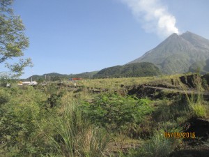 IMG_1940
