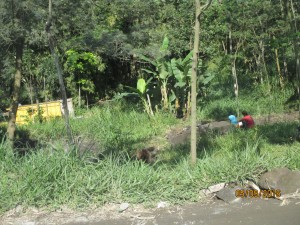 IMG_1963