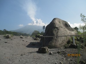IMG_1988
