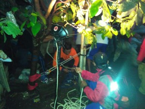 IMG-20161012-WA0011