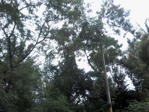20161202_135015[1]