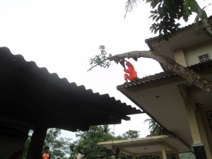 DSC08565