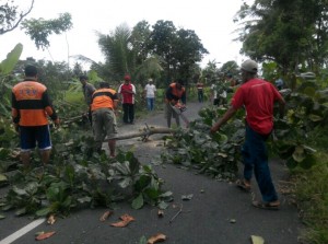 IMG-20161228-WA0014