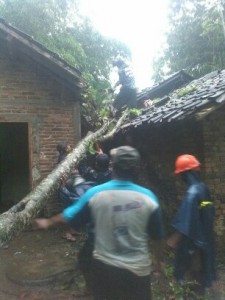 IMG-20170125-WA0006-306x408