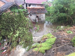 IMG-20170326-WA0002
