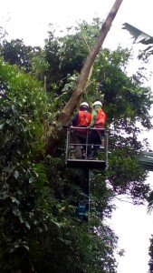 IMG-20170408-WA0007