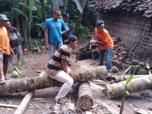 IMG-20170801-WA0023