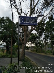 Kondisi pohon yang sudah tak berdaun