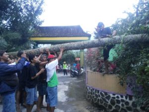 IMG-20180128-WA0049