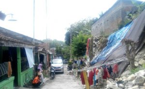jatisawit
