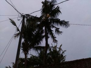 IMG-20180201-WA0102