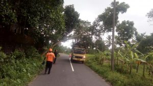 IMG-20180213-WA0019