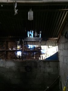 IMG-20180213-WA0196