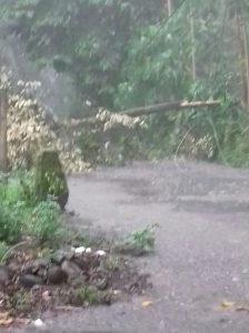IMG-20180223-WA0117