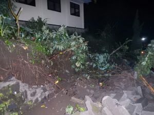 d3a5549c-49fc-48b2-87b4-ac2985366ba9