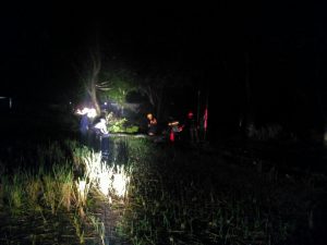 IMG-20180317-WA0614