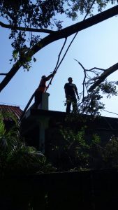 IMG-20180408-WA0006
