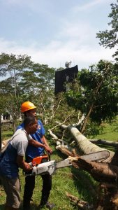 IMG-20180426-WA0006