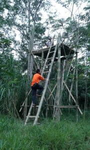 IMG-20180611-WA0044