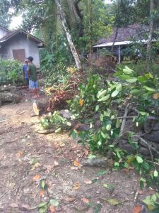 IMG-20180620-WA0210