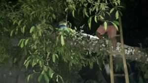 IMG-20180918-WA0007-722x406