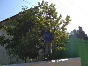 IMG-20180928-WA0020