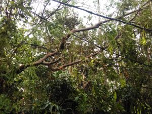 IMG-20181106-WA0006
