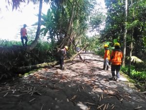 IMG-20181201-WA0010