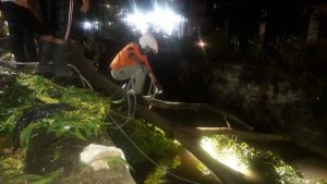 IMG-20181204-WA0005