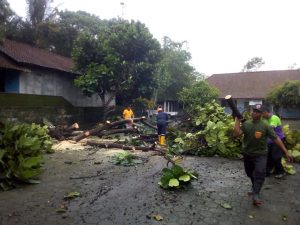 IMG-20181205-WA0021