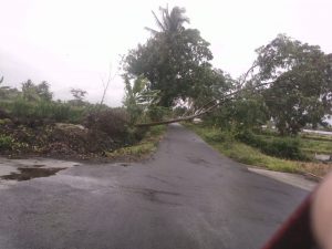 IMG-20190103-WA0010