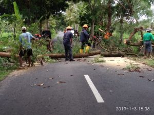 IMG-20190103-WA0049