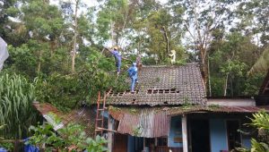 IMG-20190107-WA0061