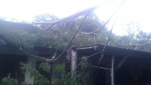 IMG-20190113-WA0097