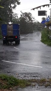 IMG-20190124-WA0031