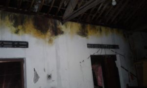 IMG-20190130-WA0177