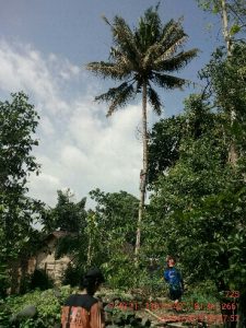 IMG_20190127_094757-369x492