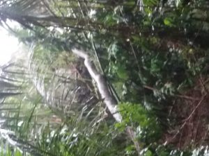 20190225_172211