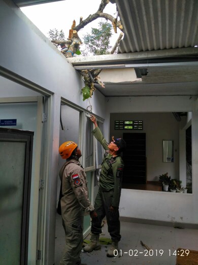 IMG-20190201-WA0017-390x520