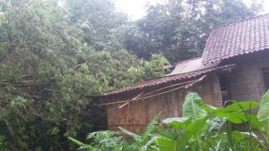 IMG-20190205-WA0007