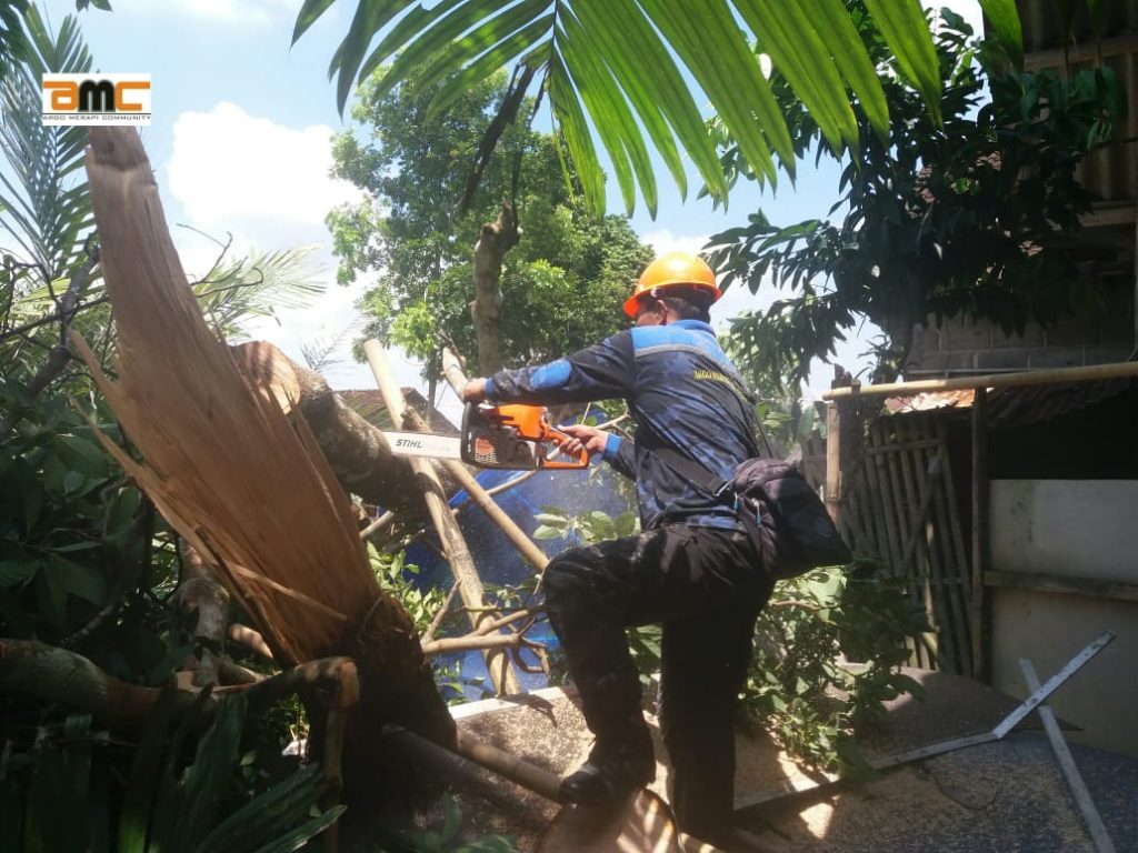 IMG-20190223-WA0038