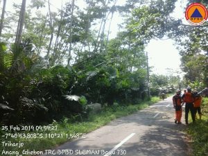 IMG-20190225-WA0000